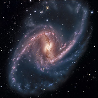 Love, life and the Universe
