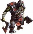 Observer's Report